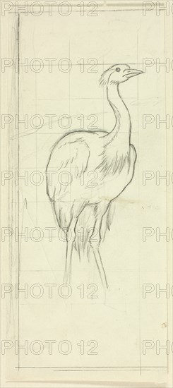 Standing Bird, n.d.