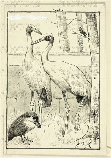 Four Birds in Landscape, n.d.