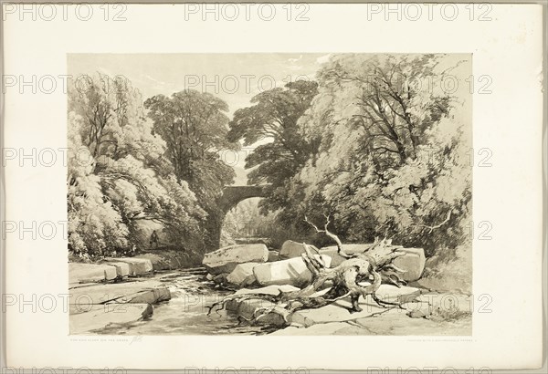 Ash and Alder on the Greta, from The Park and the Forest, 1841.