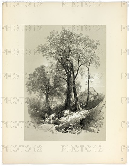 Shipley Bridge, Devon, from Picturesque Selections, 1859.