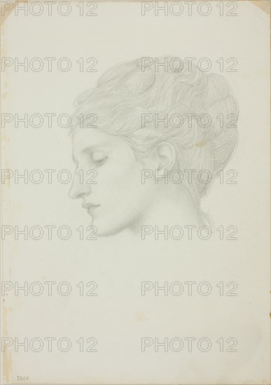 Woman's Head in Profile to Left, c. 1873-77.