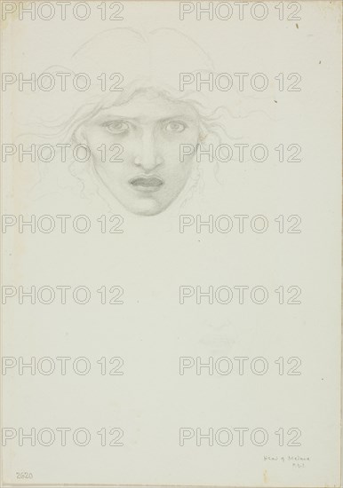 Study for Rondanini Medusa, c. 1873-77.