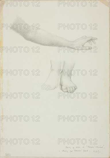 Arm and Feet, study for Mirror of Venus, c. 1873-77.