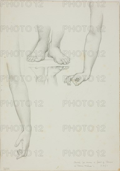 Study for Mirror of Venus: Arms and Feet of Venus, c. 1873-77.