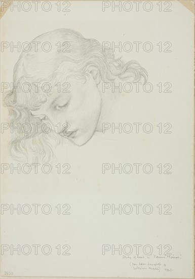 Head, Study for Mirror of Venus, c. 1873-77.