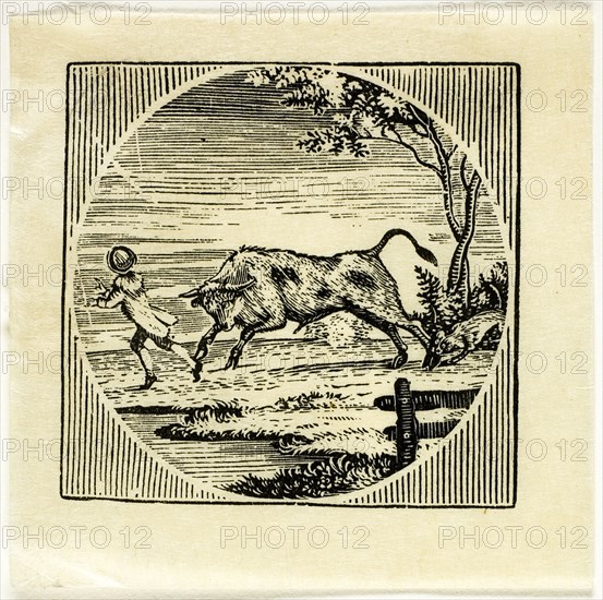 Book Illustration, n.d.