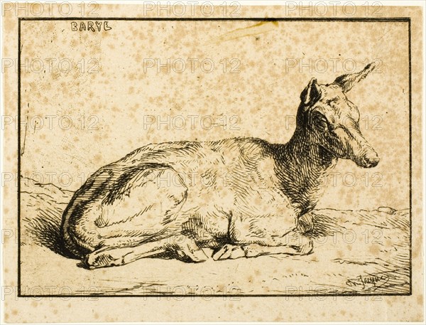 A Doe, 1846.