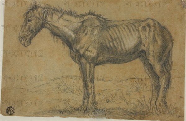 Emaciated Horse (recto); Frontal View of a Horse (verso), n.d.