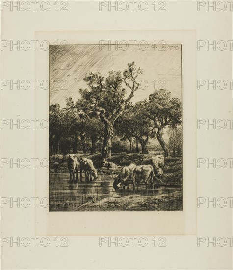 Cows at a Watering Place, 1878.