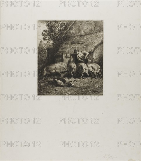 Woman Feeding Six Pigs, 1850.