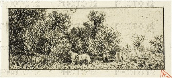 Two Horses in a Wood, 1845.