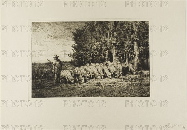 Flock of Sheep at the Edge of a Wood, 1877.