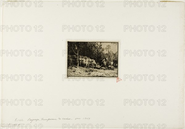 Herd of Cows Coming Out of a Wood, 1849.