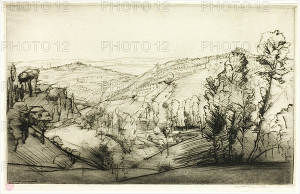 Fields of San Gimignano, 1909.