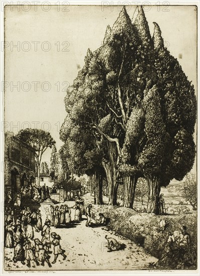 Cypress Grove, 1904.