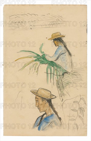 Sketches of Figures, Pandanus Leaf, and Vanilla Plant, 1891/93.