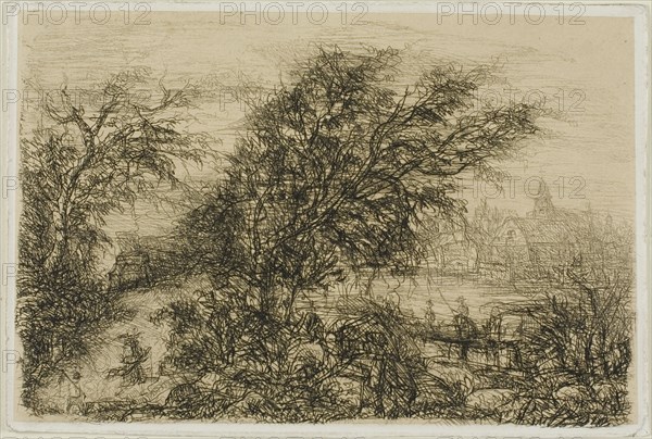 Trees Bending in the Wind, n.d.