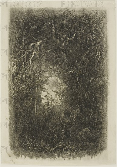Clearing in the Forest, 1880.