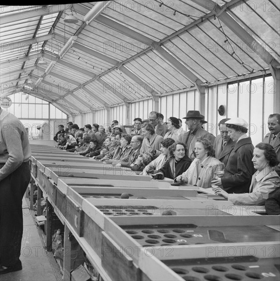 Skegness, East Lindsey, Lincolnshire, 22/05/1954. Creator: John Laing plc.