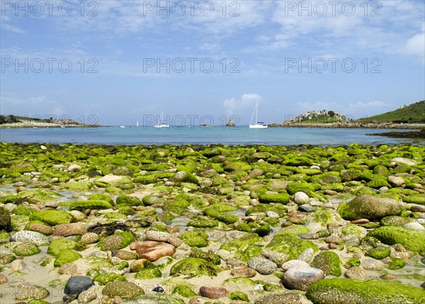 Gugh, St Agnes, Isles of Scilly, 2009. Creator: Mike Hesketh-Roberts.