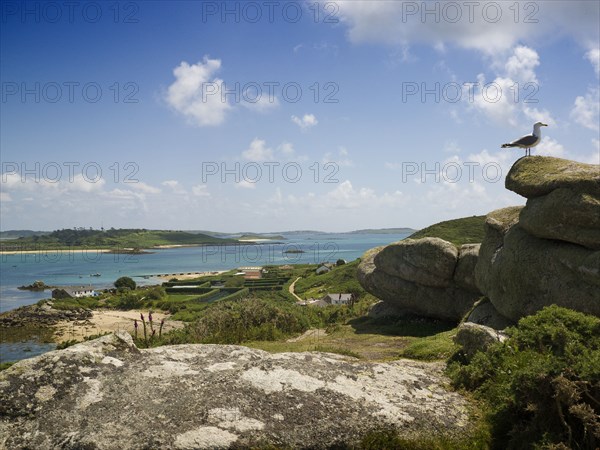 Isles of Scilly, 2009. Creator: Mike Hesketh-Roberts.
