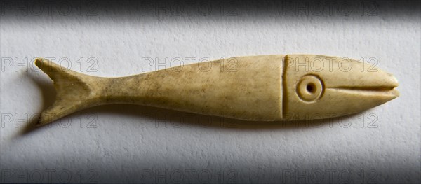 Detail of a fish-shaped bone gaming piece from Portchester Castle, Fareham, Hampshire, 2009. Creator: Derek Kendall.