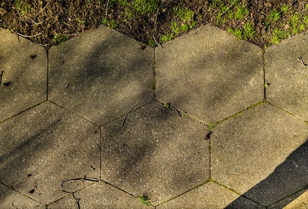 Fieldend Estate,  Strawberry Hill, Twickenham, Richmond upon Thames, London, 2019. Creator: Chris Redgrave.