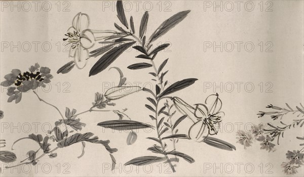 Flowering plants of the four seasons, 1842. Creator: Oda Kaisen.