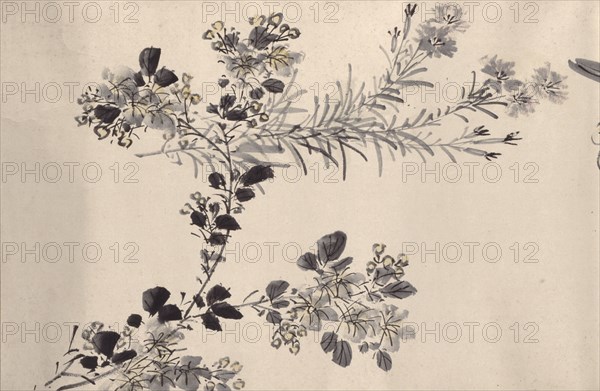 Flowering plants of the four seasons, 1842. Creator: Oda Kaisen.