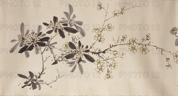 Flowering plants of the four seasons, 1842. Creator: Oda Kaisen.