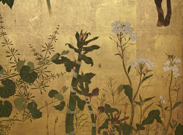 Screen with spring and summer flowers, 1st half of the 18th century. Creator: Watanabe Shiko.