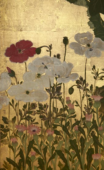 Screen with spring and summer flowers, 1st half of the 18th century. Creator: Watanabe Shiko.