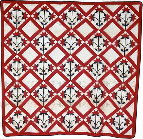 Bedcover (North Carolina Lily Quilt), United States, c. 1850. Creator: Unknown.