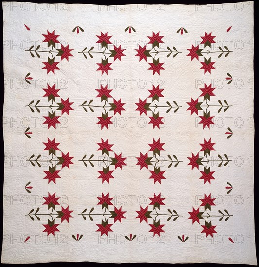 Bedcover (North Carolina Lily Quilt), United States, c.1850. Creator: Unknown.