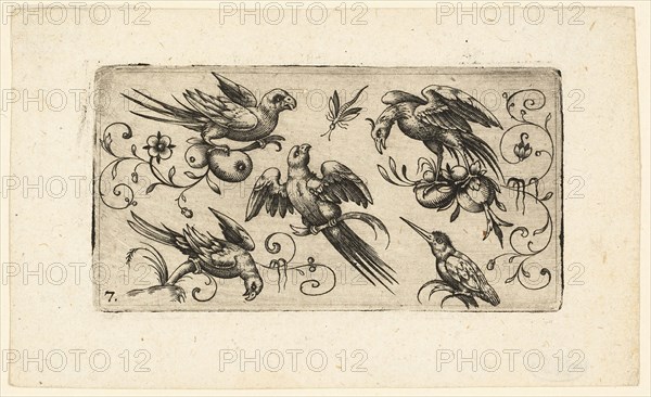 Ornament Panels with Birds: Plate 7, 1617. Creator: Adrian Muntink.