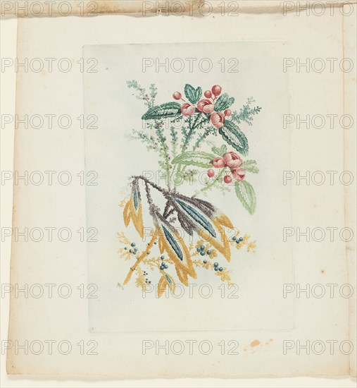 Plate, from New Suite of Notebooks of Ideal Flowers for Use by Draftsmen and Painters, c. 1795. Creator: Anne Allen.