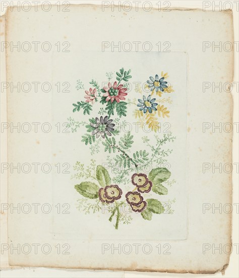 Plate, from New Suite of Notebooks of Ideal Flowers for Use by Draftsmen and Painters, c. 1795. Creator: Anne Allen.