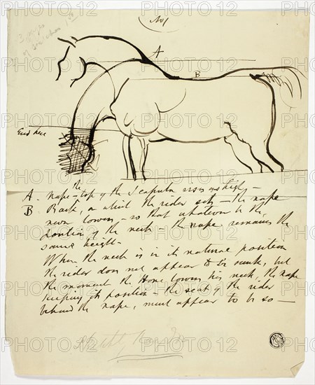 Sketch of Horse with Notations, n.d. Creator: Benjamin Robert Haydon.