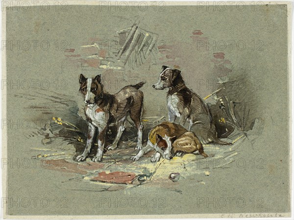 Three Dogs in an Alley, 1825-1877. Creator: Charles B Newhouse.