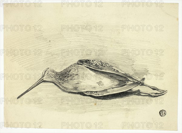 Dead Grouse, n.d. Creator: Henry LeJeune.