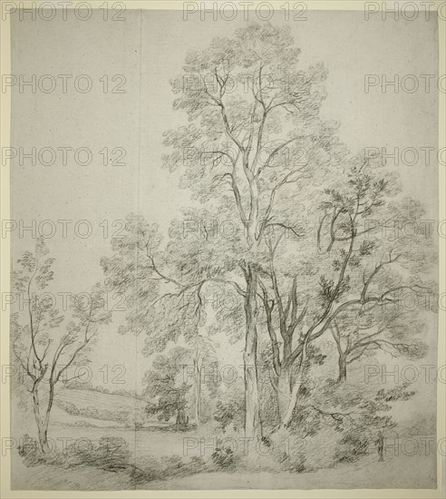 A Stand of Elm Trees (recto); A Study of East Bergholt with the Church (verso), c. 1802. Creator: John Constable.