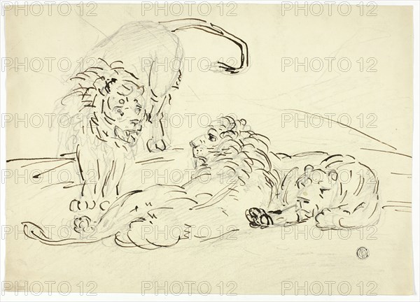 Three Lions, n.d. Creator: Sawrey Gilpin.