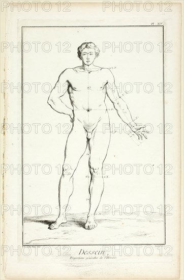 Design: General Proportions of the Male, from Encyclopédie, 1762/77. Creator: A. J. Defehrt.