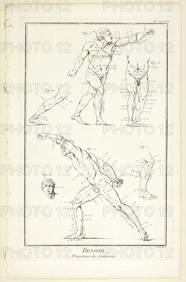 Design: Proportions of the Gladiator, from Encyclopédie, 1762/77. Creator: Benoit-Louis Prevost.