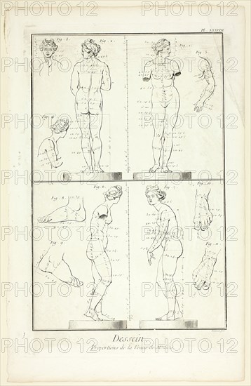 Design: Proportions of the Medici Venus, from Encyclopédie, 1762/77. Creator: Benoit-Louis Prevost.