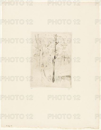 The Lake in the Bois de Boulogne, 1889. Creator: Berthe Morisot.