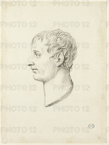 Profile of Napoleon, c. 1810. Creator: Jacques-Louis David.