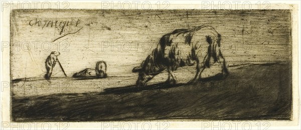 A Sheep Grazing, 1849. Creator: Jean Francois Millet.