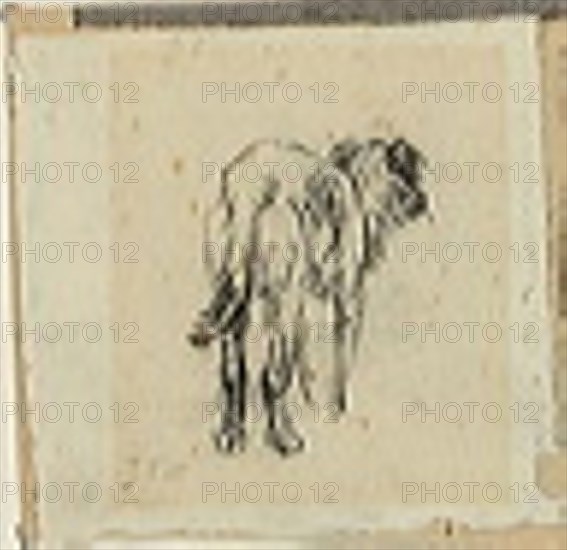 Study of a Dog, n.d. Creator: Jean Francois Millet.