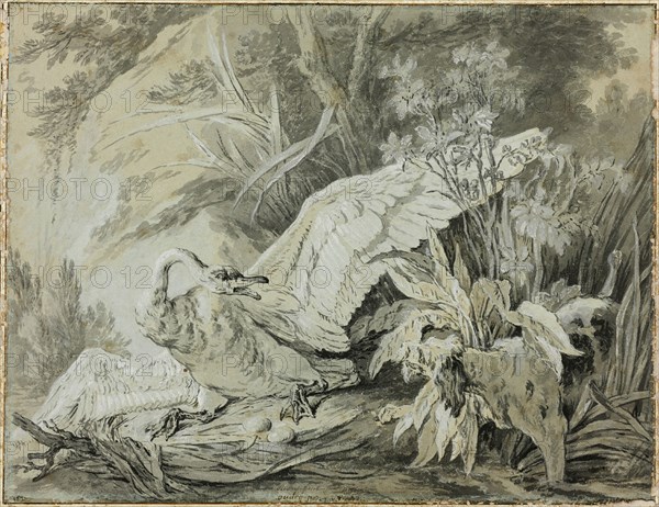 A Wild Swan Attacked by a Dog, c. 1740. Creator: Jean-Baptiste Oudry.